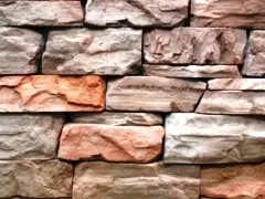 ������������ ������ ������ ����