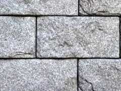 ������������ ������ ��������