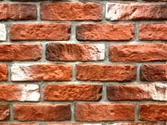 ������������ ������ �������