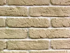 ������������ ������ ����������