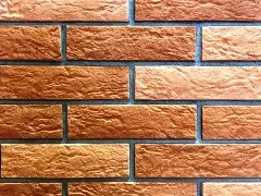 ������������ ������ �����