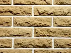 ������������ ������ ������� ������