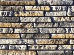 ������������� ������ ������ (Lauter)